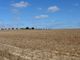 Thumbnail Land for sale in Agricultural Land With Fertile Soil, Coruche, Fajarda E Erra, Coruche, Santarém, Central Portugal