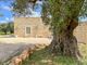 Thumbnail Farmhouse for sale in Carovigno, Puglia, 72012, Italy