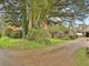 Thumbnail Detached bungalow for sale in Back Lane, Castle Acre, King's Lynn