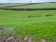 Thumbnail Property for sale in Cwm Cou, Newcastle Emlyn