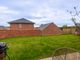 Thumbnail Detached house for sale in Mustard Way, Trowse, Norwich