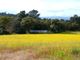 Thumbnail Farm for sale in Farm 38.000m2, With 400 Olive Trees, Stone House, Lajeosa Do Mondego, Celorico Da Beira, Guarda, Central Portugal