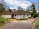 Thumbnail Bungalow for sale in The Paddock, Haslemere