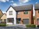 Thumbnail Detached house for sale in "The Hollicombe" at Lipwood Way, Wynyard, Billingham