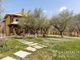 Thumbnail Villa for sale in Ponte Grande, Umbria, Italy