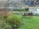 Thumbnail Hotel/guest house for sale in HS2, Doune, Carloway, Ross-Shire