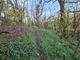 Thumbnail Land for sale in Woodland At Pillaton, Pillaton, Saltash, Cornwall