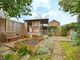 Thumbnail Semi-detached house for sale in Sunnyside, Diss
