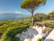 Thumbnail Villa for sale in Via Delle Mimose, Orbetello, Toscana