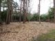 Thumbnail Land to rent in Crawley Hill, West Wellow, Romsey