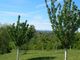 Thumbnail Villa for sale in St Felix Lauragais, Haute Garonne (Toulouse Area), Occitanie