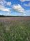 Thumbnail Land for sale in Northampton Road, Bedfordshire