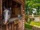 Thumbnail Equestrian property for sale in Sandy Lane, Stoke Heath, Market Drayton