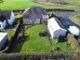 Thumbnail Detached bungalow for sale in Felinfoel, Llanelli