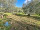 Thumbnail Land for sale in Casarabonela, Malaga, Spain