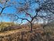 Thumbnail Land for sale in 78 Elephant Rock, Elephant Rock Eco Estate, Hoedspruit, Limpopo Province, South Africa