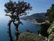 Thumbnail Villa for sale in Via Jacopo Ruffini, Camogli, Liguria