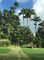 Thumbnail Country house for sale in Apes Plantation Great House, Apes Hill, Barbados
