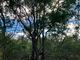 Thumbnail Land for sale in 118 Moria, 118 Kierrieklapper, Moditlo Nature Reserve, Hoedspruit, Limpopo Province, South Africa