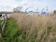 Thumbnail Land for sale in Priory Road, St Olaves