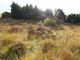 Thumbnail Land for sale in Strath, Gairloch