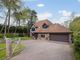 Thumbnail Detached house for sale in Chestnut Close, Storrington, Pulborough