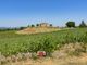 Thumbnail Farm for sale in Montevarchi, Tuscany, Italy