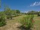 Thumbnail Country house for sale in Via Firenze, Castellina In Chianti, Toscana