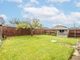 Thumbnail Detached bungalow for sale in Langmere Road, Watton