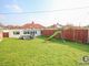 Thumbnail Semi-detached bungalow for sale in Olive Road, New Costessey, Norwich