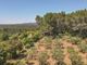 Thumbnail Villa for sale in Lorgues, Var Countryside (Fayence, Lorgues, Cotignac), Provence - Var