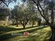 Thumbnail Villa for sale in Montepulciano, 53045, Italy