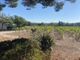 Thumbnail Commercial property for sale in Le Muy, Var Countryside (Fayence, Lorgues, Cotignac), Provence - Var