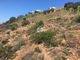 Thumbnail Land for sale in Agay, 83530, France