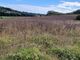 Thumbnail Land for sale in Lovedean Lane, Horndean