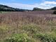 Thumbnail Land for sale in Lovedean Lane, Horndean, Havant, Hampshire