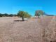 Thumbnail Land for sale in Barão De São João, 8600, Portugal