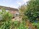 Thumbnail Semi-detached house for sale in Windmill Fields, East Worldham, Alton, Hampshire