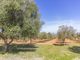 Thumbnail Country house for sale in Country Finca, Santa Eugènia, Mallorca, 07142