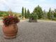 Thumbnail Property for sale in Monteriggioni, Monteriggioni, Toscana