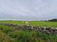 Thumbnail Land for sale in Whitehall, Stronsay, Orkney