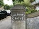 Thumbnail Maisonette to rent in Wilbury Grove, Hove