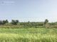 Thumbnail Land for sale in Poli Crysochous, Cyprus