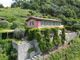 Thumbnail Villa for sale in Versilia Sea View, Montignoso, Massa And Carrara, Tuscany, Italy
