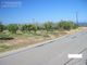 Thumbnail Land for sale in Gialia, Cyprus