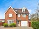 Thumbnail Detached house for sale in The Cedars, Chelmsford