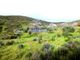 Thumbnail Land for sale in 350.000m2 Of Rustic Land With Olive Groves, Portugal