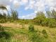 Thumbnail Land for sale in Saint George, Barbados