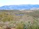 Thumbnail Land for sale in 350.000m2 Of Rustic Land With Olive Groves, Portugal