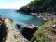 Thumbnail Pub/bar to let in Cadgwith Cove, Cadgwith, Ruan Minor, Helston, Cornwall